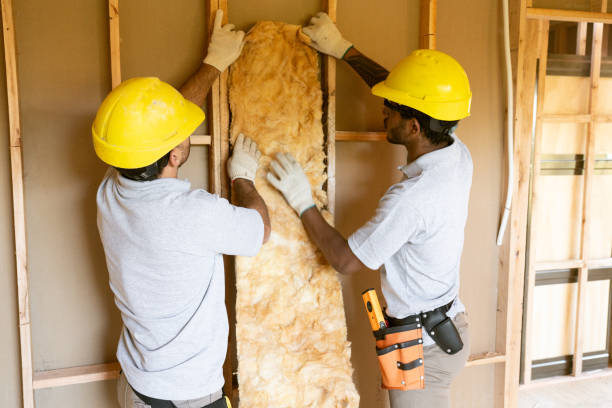 Best Attic Insulation Installation  in Greenwood, SC